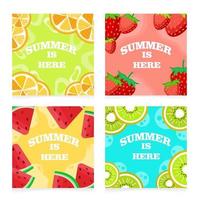 fruit set heldere zomerkaarten vector