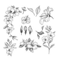 bloemen illustraties in vector