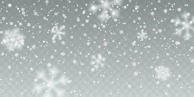 Kerstmis sneeuw. vallend sneeuwvlokken Aan transparant achtergrond. sneeuwval. vector illustratie
