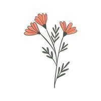 kleurrijk bloem, hand- getrokken, vector vlak illustratie. bloeiend planten met stengels en bladeren geïsoleerd Aan wit. bloemen decoratie of geschenk. voor uw ontwerp