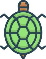 kleur icoon voor schildpad vector