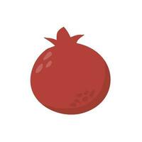 granaatappel vers fruit illustratie vector
