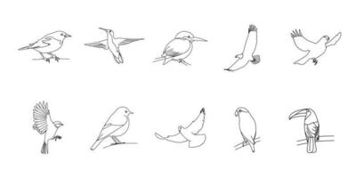 vogel schets icoon vector