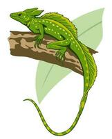 groen basilisk, Jezus hagedis. basiliscus plumifrons. vector illustratie.