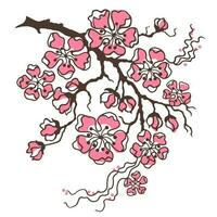 kers bloesem, sakura. Afdeling met bloemen. hand getekend vector clip art geïsoleerd Aan wit.