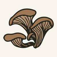 oester paddestoelen, vector illustratie. hand- getrokken kunst van eetbaar champignons.