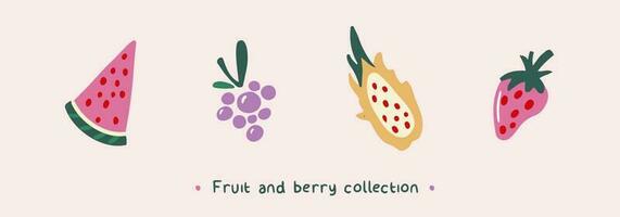 fruit en BES vector verzameling. hand- getrokken clip art van watermeloen plak, braam, draak fruit, aardbei