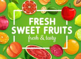 fruit poster, tropisch exotisch zoet fruit voedsel vector
