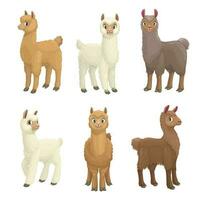 lama, alpaca, guanaco, lama en vicuna dieren vector