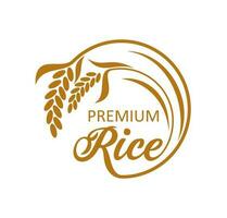 rijst- boerderij, biologisch Product icoon of symbool vector