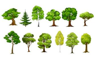 tekenfilm geïsoleerd Woud en tuin vector bomen