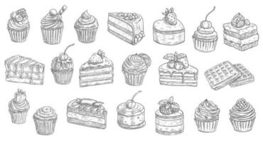 taarten, kaastaarten schetsen gebakje toetje snoepgoed vector