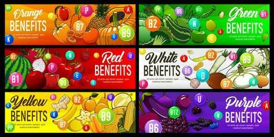 kleur eetpatroon ten goede komen, gezond voeding regenboog voedsel vector