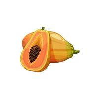 papaja fruit met sappig geel pulp vector fabriek