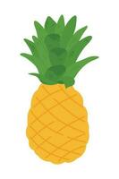 hand- getrokken ananas illustratie geïsoleerd Aan wit achtergrond. vers zomer fruit illustratie. vector