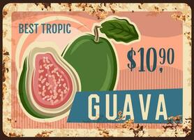 guava tropisch fruit roestig metaal uithangbord vector