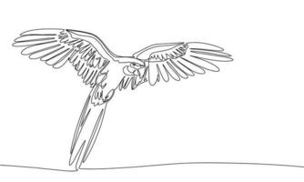 hand- getrokken papegaai geïsoleerd Aan wit achtergrond. lijn kunst vogel. een lijn doorlopend papegaai. schets vector illustratie.