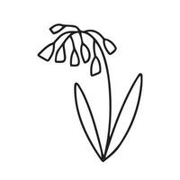 klein zomer bloem tekening illustratie. hand- getrokken korenbloem tekening geïsoleerd vector