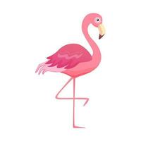 roze flamingo. schattig vogel in tekenfilm stijl. vector illustratie geïsoleerd Aan wit.