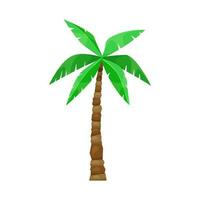 tropisch palm boom. zomer tijd symbool. vector illustratie geïsoleerd Aan wit.