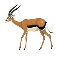 gazelle hert met groot hoorns en gevlekte terug vector geïsoleerd Aan een wit achtergrond