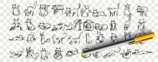 katten tekening set. verzameling van hand- getrokken potlood schetsen Sjablonen patronen van aanbiddelijk huisdieren katje pot slapen uitrekken spelen met bal schuilplaats in doos of mand. illustratie huiselijk dieren. vector