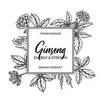 ginseng kader. hand- getrokken botanisch vector illustratie in schetsen stijl. kan worden gebruikt voor verpakking, label, insigne, logo. kruiden geneeskunde achtergrond