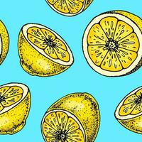 citroen plak naadloos patroon. kleurrijk hand- getrokken vector illustratie in schetsen stijl. tropisch exotisch citrus fruit zomer achtergrond
