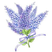 waterverf boeket van lila bloem met Purper lint vector