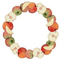 hand- getrokken waterverf appel rijp fruit, vol en plakjes, rood en groente. cirkel ronde krans geïsoleerd Aan wit achtergrond. ontwerp voor muur kunst, bruiloft, afdrukken, kleding stof, omslag, kaart, uitnodiging. vector