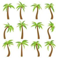 reeks van zestien verschillend tekenfilm palm bomen geïsoleerd Aan wit achtergrond. vector illustratie