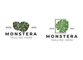 monstera logo ontwerp vector