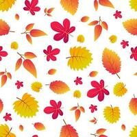 herfst naadloos achtergrond met kleurrijk bladeren. ontwerp voor vallen seizoen affiches, omhulsel papieren en vakantie decoraties. vector illustratie
