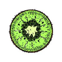 kiwi plak fruit schetsen hand- getrokken vector