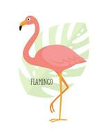 vector tropisch vogelstand flamingo