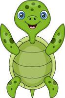 schattige babyschildpad cartoon poseren vector