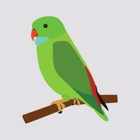 een mooi papegaai vogel vector kunst werk.