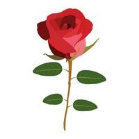 een mooi rood roos vector kunst werk.