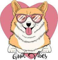 portret van een schattig honden in zonnebril. grappig corgi in een verschillend poseert. humor textiel samenstelling, hand- getrokken stijl afdrukken. vector