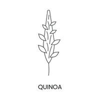 quinoa lijn icoon in vector, illustratie van een ontbijtgranen fabriek. vector