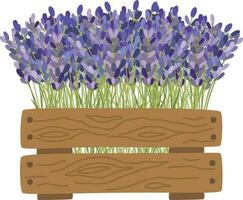 lavendel bloemen elementen. vector