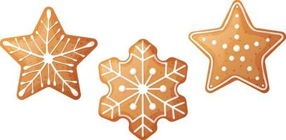 Kerstmis peperkoek reeks sneeuwvlok, ster met mooi patronen van zoet glazuur. vakantie koekjes Aan een geïsoleerd achtergrond. vector icoon