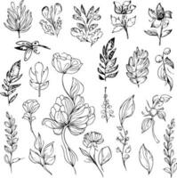 botanisch elementen, wilde bloemen, Aan de tekening kunst, kleur bladzijde vector schetsen hand getekend illustraties, en mooi monochroom botanischelement.