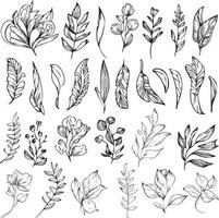 botanisch kleur bladzijde en boeken, monochroom vector schetsen, wilde bloemen schetsen, botanisch bloem vector, botanisch achtergrond met natuurlijk blad verzameling, illustratie potlood kunst bladeren, botanisch kunst