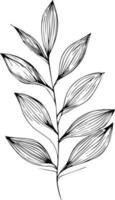 hand- getrokken botanisch voorjaar elementen lijn kunst, botanisch illustratie botanisch lijn tekening, vector schetsen artistiek eenvoud botanisch tekening kunst, gemakkelijk botanisch tekening, botanisch illustratie