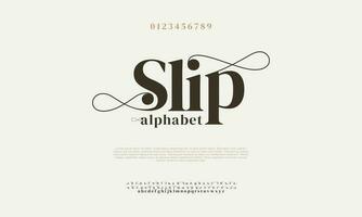 elegant uitglijden alfabet brieven doopvont en nummer. klassiek belettering minimaal mode ontwerpen. typografie modern serif fonts decoratief wijnoogst ontwerp concept. vector illustratie