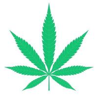 cannabis groen blad clipart pictogram cbd farmacoloog medisch wettelijk narcoticc hasj olie organisch concept kan worden gebruikt voor cosmetische banner web of app voorraad vectorillustratie geïsoleerd op een witte achtergrond in platte cartoon stijl vector