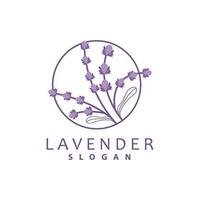 lavendel logo, gemakkelijk elegant Purper bloem fabriek vector, groet kaart ontwerp, banier, bloem ornament, lavendel hand- getrokken bruiloft, icoon symbool illustratie vector