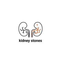 menselijk nier stenen, nier binnen, nier systeem, Boon vorm geven aan, vector illustratie.