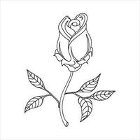 een lijn tekening. de tuin roos met bladeren. hand- getrokken schetsen. vector illustratie.